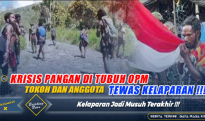 Krisis Logistik Melanda OPM, Tokoh dan Anggota Tewas Kelaparan