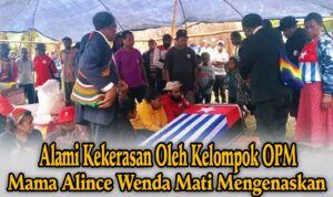 WhatsApp Image 2025-10-25 at 09.28.55 (3)