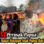 WhatsApp Image 2025-10-26 at 11.02.00 (3)