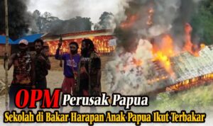WhatsApp Image 2025-10-26 at 11.02.00 (3)